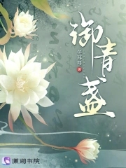 御青盏御青盏