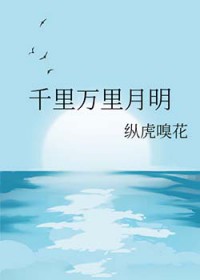 千里万里月明千里万里月明